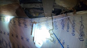 GoPro footage from an adventurous call that I went on a couple of weeks ago. This Black Mamba was not welcome here! Extremely grateful to Inkosi Security for the back up! ~Nick Evans 072 809 5806 nickevanskzn@gmail.com | Nick Evans- Snake Rescuer