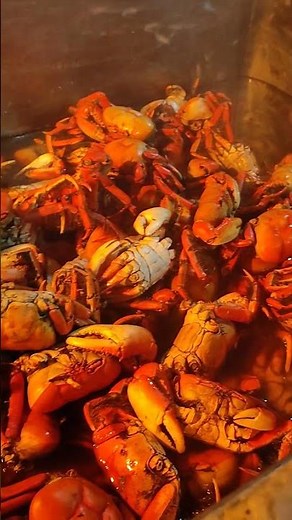 Caranguejada Perfeita: Receita Completa e Saborosa do Início ao Fim