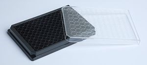 [Hot Item] 96 Well Transparent High Quality Sterile Single Use Tissue Cell Culture Plate for Lab