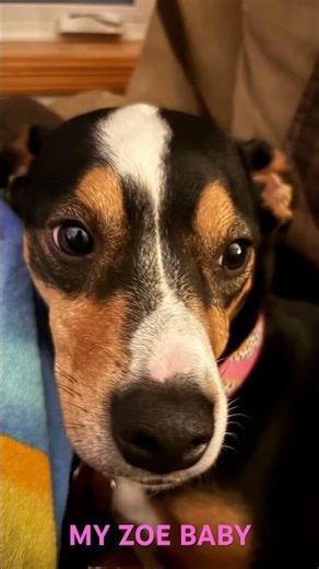 🥰🥰🥰🥰🥰🥰🥺🥺🥺🥺