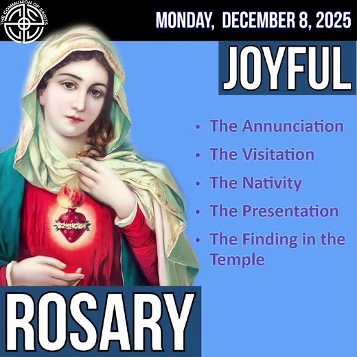 Joyful Mystery 3: The Nativity - Praying the Rosary #shorts