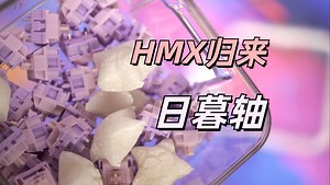弹片音修复？HMX归来？HMX日暮轴来了