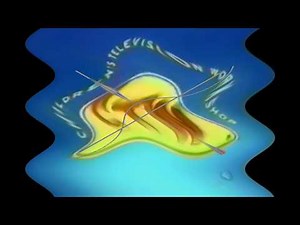 W../(Requested) Sesame Street Toodle Loo Effects