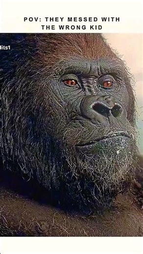 VIRAL movie clips | #movie #movieclips #moviereview