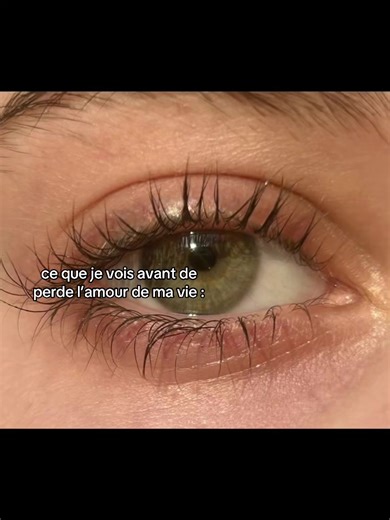 Avant de perdre l'amour de ma vie
