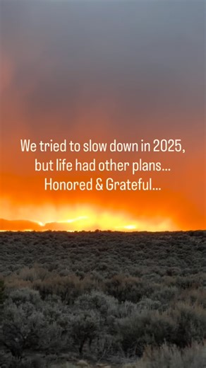 Sky-Eagle Collection | 𝐒𝐤𝐲-𝐄𝐚𝐠𝐥𝐞 𝐂𝐨𝐥𝐥𝐞𝐜𝐭𝐢𝐨𝐧: 𝐘𝐞𝐚𝐫 𝐢𝐧 𝐑𝐞𝐯𝐢𝐞𝐰 ✨ 2025 took us from New York Fashion Week (twice!) to a museum in Sweden, Vegas for RES, we produced... | Instagram