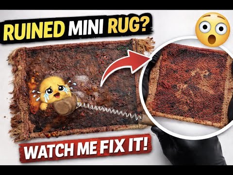 This mini rug was DESTROYED by coffee, egg, and tomato paste… but watch this!