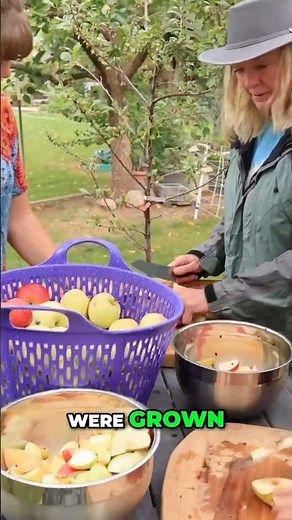 Freeze Drying My Own Fruit vs Store Bought #freezedrying #comparison #gardening