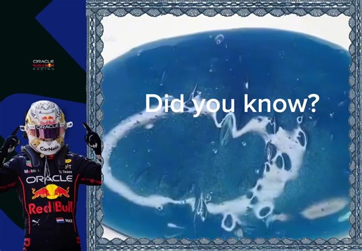 Understanding the Fitnessgram Pacer Test