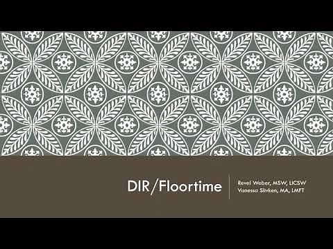 Developmental Approach to Early Intensive Behavioral and Developmental Intervention (EIDBI)