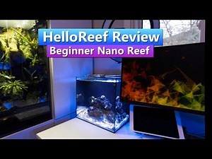 Beginner Nano Reef Setup - Hello Reef Saltwater Aquarium