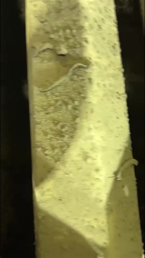 Ultimate Guide to Deep Cleaning a Commercial Kitchen