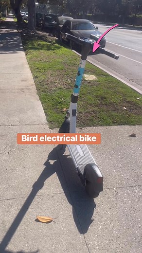 Bird electric bike/scooter for getting around the city to your destination. #birdelectricalbike | Sophal’s Life In the States | Facebook