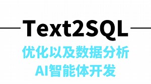 深入理解text2sql的优化以及数据分析ai智能体开发