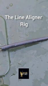 2.7K views · 41 reactions | A line aligner rig is a popular and...