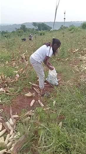 malaika (@vickyolxl6c)’s videos with original sound - VJ DESTINY MAN OF A KIND❤️‍🩹