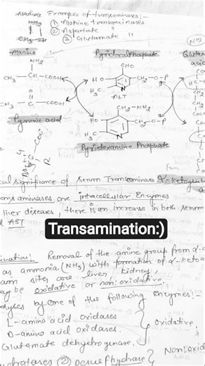 transamination process:- main site is liver:) biochemistry, biotechnology topic.