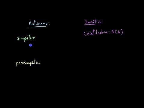 Autonomic vs. Somatic Nervous System | Khan Academy