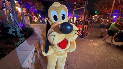 14K views · 515 reactions | Pluto turns 95 years old this week! Jeff stopped to meet Pluto at Mickey’s Not-So-Scary Halloween Party just a few nights ago. Pluto has a special Halloween collar (as seen in the clip). You can find Pluto during the party near the Storybook Circus entrance. #pluto #mickeysnotsoscaryhalloweenparty #notsoscary #mickeysnotsoscary #notsoscaryhalloweenparty #disneycharacters #magickingdom #wdw #waltdisneyworld #disneyworld | Mousesteps | Facebook