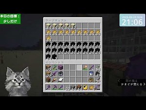 Minecraft test (Java Edition 1.21.11)