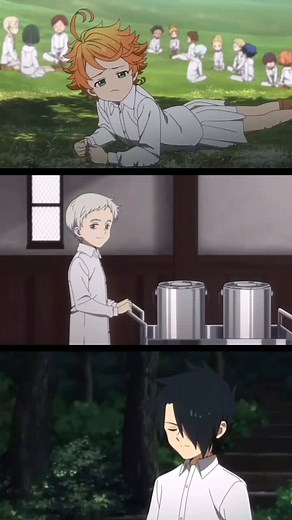 The Promised Neverland Trio Anime Edit