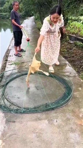 Can the Old Man Catch Fish Using Rotten Meat? 🎣 👴 #shorts​ #shortsfeed​ #viralshort