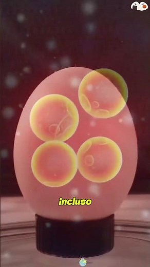 Why do eggs explode in the microwave? #didyouknow #knowledge #foryou #amazing #us