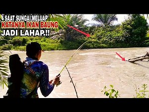 FISHING FOR BAUNG FISH" When the river overflows, the baung fish become greedy.!!