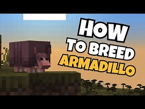 How to Breed Armadillo in Minecraft | Armadillo Breeding Guide (2025)