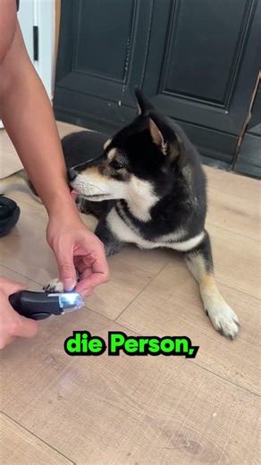 The intelligent dog nail trimmer 🐶
