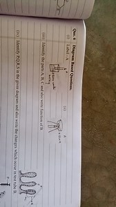 Que. 6 Diagram Based QuestionsLabel - A in the given diagrams... | Filo