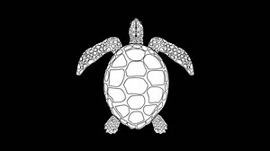 Animated Video Sea Turtle Swimming On Stock Footage Video (100% Royalty-free) 3672800749 | Shutterstock