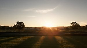 Road, Car, Netherlands. Free Stock Video