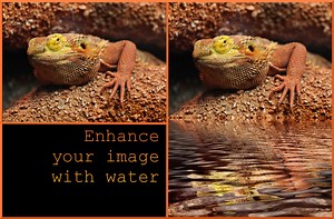 How to Add Water Reflection to an Image in GIMP