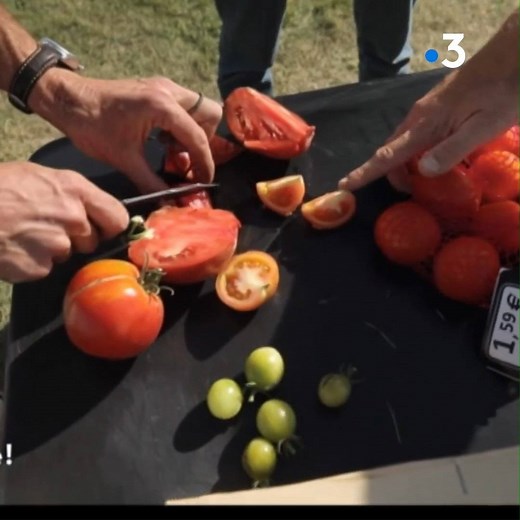 Pierre Chevelle, le youtubeur qui veut Changer le monde en 2 heures, par à la découverte du Conservatoire National de la Tomate au Château de La Bourdaisière, un endroit unique en France qui recense à ce jour 700 variétés de tomates venues du monde entier. Un vrai trésor à préserver et à transmettre aux générations futures. C'est à découvrir dans #onvousembarque à 12h55 sur France 3 Centre-Val de Loire ►https://france3-regions.francetvinfo.fr/centre-val-de-loire/emissions/on-vous-embarque | Fran