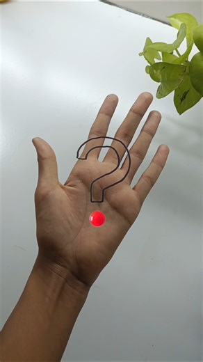 The Best Choice: Draw Borders WITHOUT a Ruler!