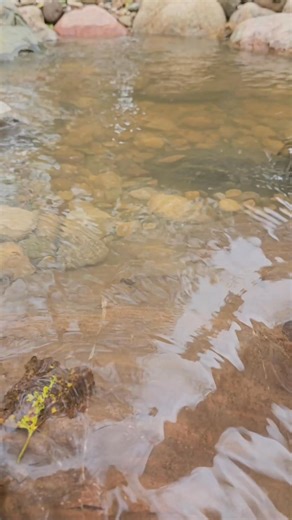 Pondless Waterfalls Final Reveal Part 15 | Serene Water Gardens