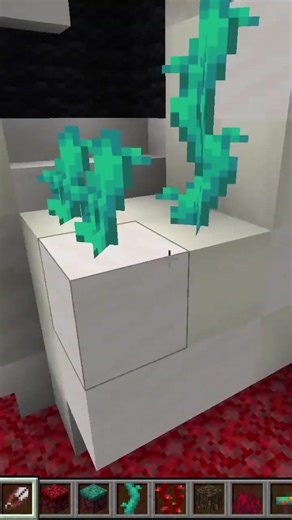 What am I building? #shorts #minecraft #smp