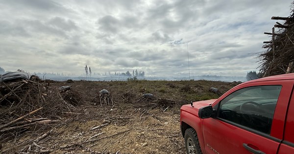 Evacuation levels reduced for Toonerville Fire near Belfair, WA