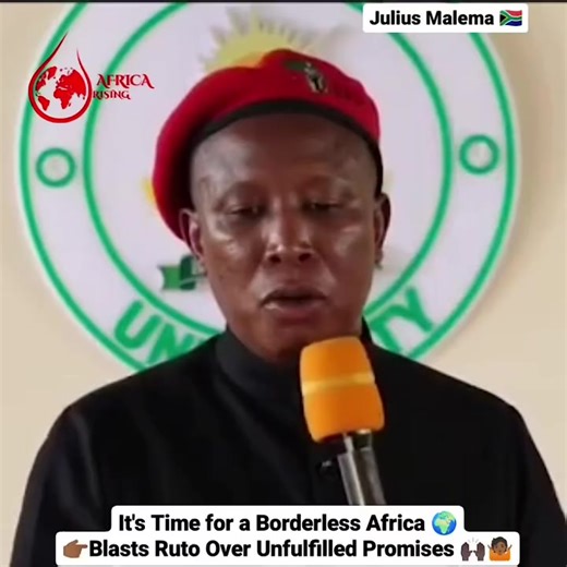 Malema's Call for Pan-African Leadership and Change