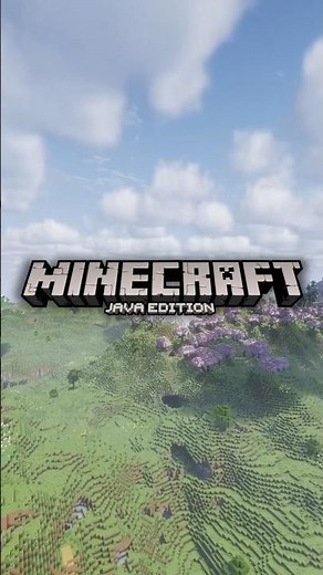 MINECRAFT JAVA IS BETTER THAN BEDROCK #minecraft #minecraftshorts #minecraftjava