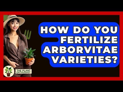 How Do You Fertilize Arborvitae Varieties? - The Plant Enthusiast