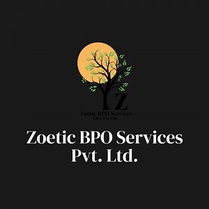 Data Entry Projets At Zoetic Bpo