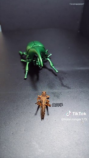 情人节快乐的自然奇观