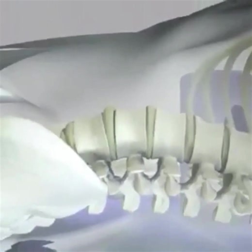 Hey Lakeland! - - We're offering a $𝟯𝟱 𝗕𝗮𝗰𝗸 𝗣𝗮𝗶𝗻 𝗖𝗼𝗻𝘀𝘂𝗹𝘁𝗮𝘁𝗶𝗼𝗻, 𝗘𝘅𝗮𝗺, 𝗜𝗺𝗮𝗴𝗶𝗻𝗴 𝗥𝗲𝘃𝗶𝗲𝘄, 𝗥𝗲𝗽𝗼𝗿𝘁 𝗼𝗳 𝗙𝗶𝗻𝗱𝗶𝗻𝗴𝘀, 𝗧𝗿𝗲𝗮𝘁𝗺𝗲𝗻𝘁 𝗥𝗲𝗰𝗼𝗺𝗺𝗲𝗻𝗱𝗮𝘁𝗶𝗼𝗻𝘀 to the first 30 people who are seeking a long term back and neck pain relief. I'm Dr. Graham W. Kern of Lakeland Disc Center and up to date we've helped thousands of patients in FL who've suffered from: 👉 Bulging and herniated discs 👉 Degenerative Disc Disease 👉 Sciatica 👉 Even relapse