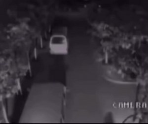 😂😂 | Funny Humor Gifs