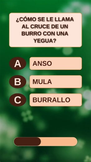 Quiz Lab on Instagram: "General knowledge quiz 🧠 #quiz #preguntasyrespuestas #quizchallenge #trivia #generalknowledge"