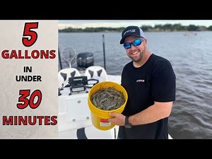 5 GALLONS Of SHRIMP In UNDER 30 MINUTES- Castnetting Shrimp Hundreds At a Time Daytona Beach 2021