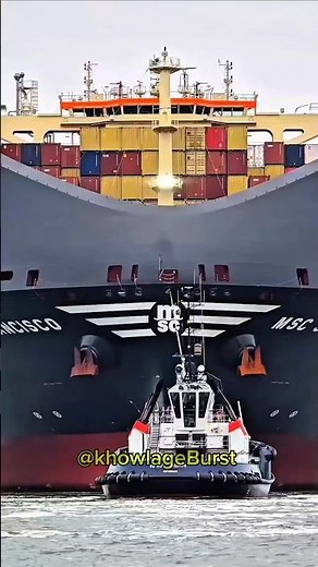 The Giant Container Ships That Control Global Trade 🌍🚢 #Shorts#trendingshorts #knowledge