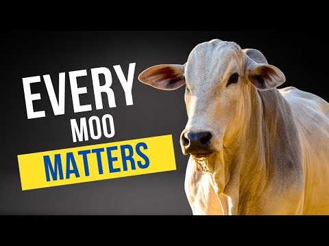 From Lost to Located: Revolutionize Your Ranching with mOOvement!